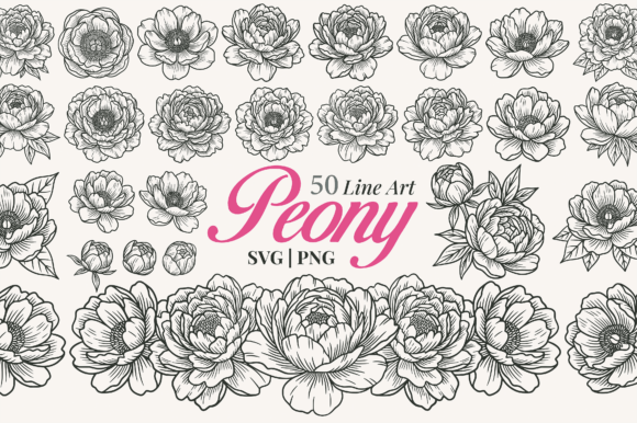 Download Peony Flower Line Art Clipart - Line art Collection