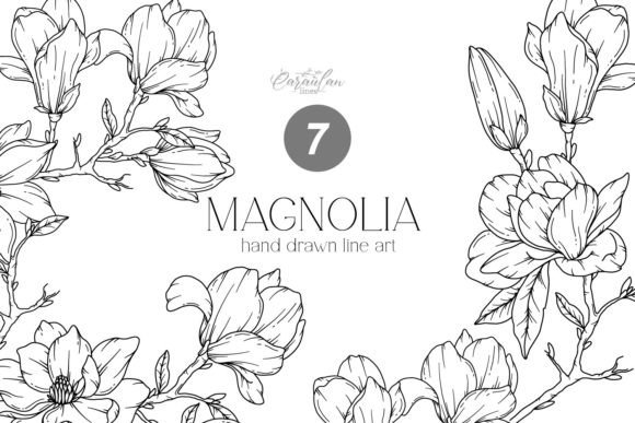 Download MAGNOLIA LINE DRAWING, Floral Line Art - Line art Collection