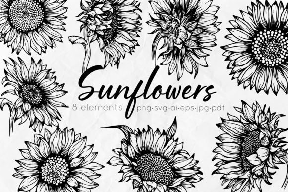 Download Sunflowers Line Art Illustrations - Line art Collection