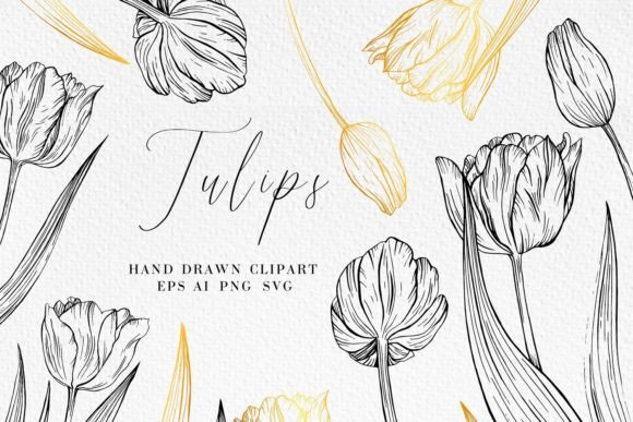 Download Tulip Line Art Illustrations - Line art Collection