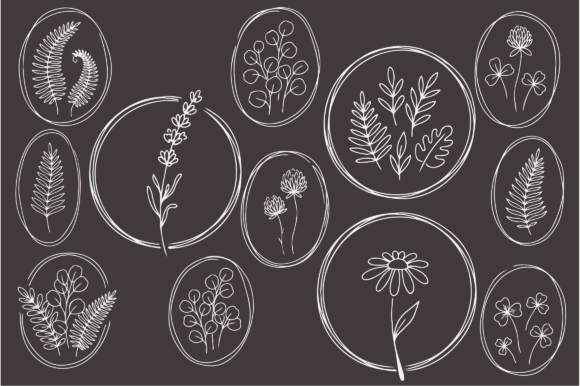 Download Botanical Floral Line Art Frames Bundle - Line art Collection