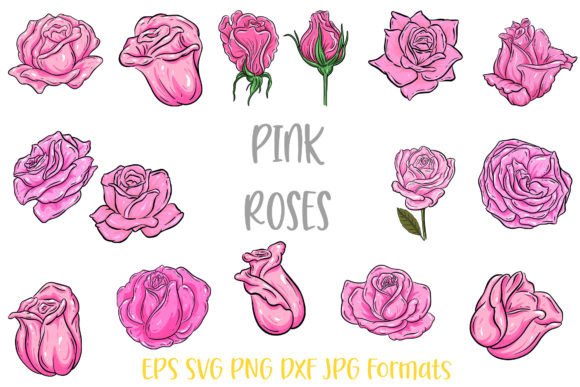 Download Pink Rose Flower Line Art Illustrations - Line art Collection