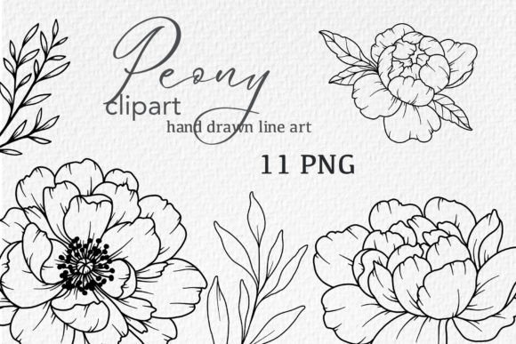 Download Peonies LINE DRAWING, Floral Line Art - Line art Collection