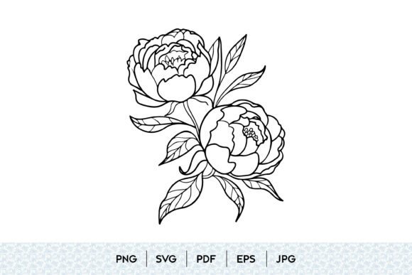 Download Peony Flower Line Art SVG - Line art Collection
