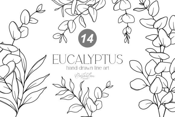 Download EUCALYPTUS LINE DRAWING, Floral Line Art - Line art Collection