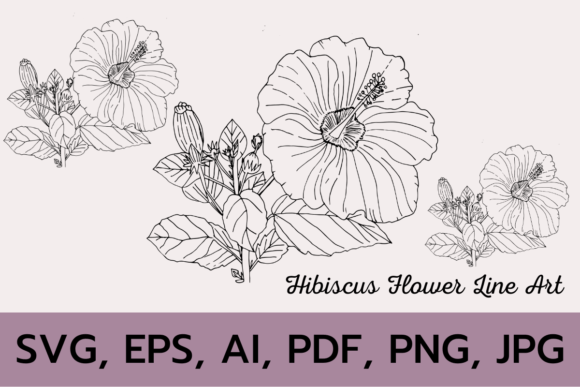 Download HIBISCUS FLOWER BRANCH LINE ART SVG - Line art Collection